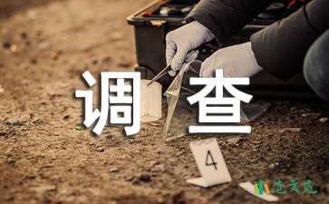 关于街头错别字的调查报告