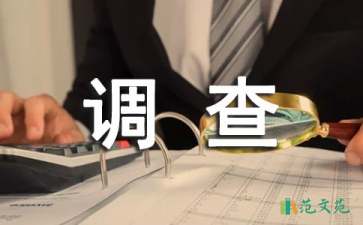 学生社会实践调查报告