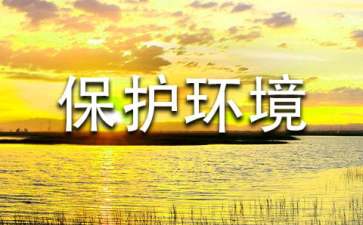 保护环境建议书作文600字