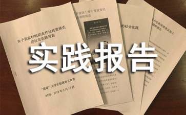 辅导社会实践报告