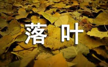 《落叶树和常绿树》教案