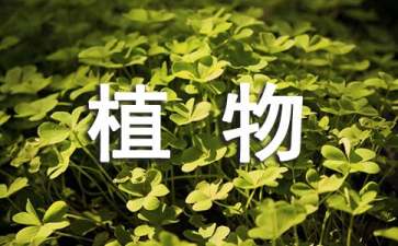 植物学实习报告15篇