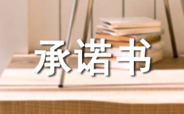 小学政风行风建设承诺书