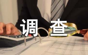 小学生错别字调查报告